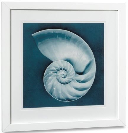 decorative painting SLICED NAUTILUS Williams Sonoma Home