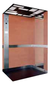 electric home elevator ONEGA ALAPONT BLUE GIANT 