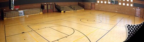 indoor synthetic sports floor TARAFLEX&reg; ISOLSPORT Gerflor - Sols Sportifs