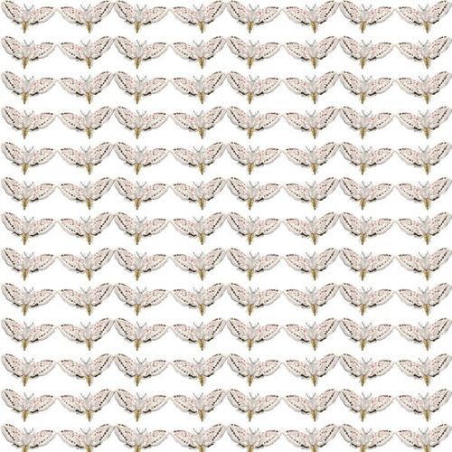 motif linen fabric WHITE MOTH GRID Timorous Beasties