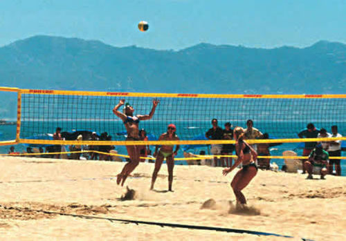 volleyball net 514-06-F3 Artimex Sport