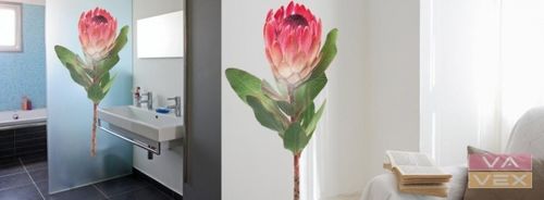 wall sticker (nature: flower) COUS COUS PROTEA Vavex 1990
