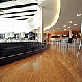 bamboo wood floor / wood / solid / FSC-certified - BAMBOO SUPREME