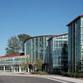 colored glass panel / pattern - SOLEXIA®