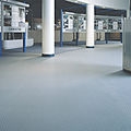 commercial bariatric flooring / PVC / anti-slip - LONCOIN II FLECKS