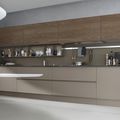 contemporary kitchen / glass / wood veneer - SYSTEM COLLECTION