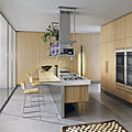 contemporary kitchen / with island / wood veneer - LIGNUM & LAPIS : COMPOSITION 2