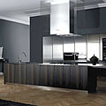 contemporary kitchen / stainless steel / wood veneer - K_10