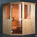 finnish sauna - BL-110