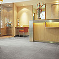 floor tile / porcelain stoneware / stone - BLUESTONE : CESELLATA