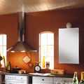 gas boiler / wall / condensing - VITODENS 100-W