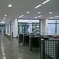 light line - TAGLIO