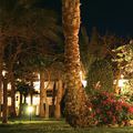 lights bollard / LED / outdoor / for public spaces - ATOS