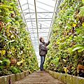 modular structures green wall - FRAMEPANELS
