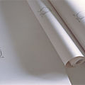patterned wallpaper / handmade - SILVER BIRD