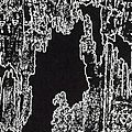 patterned wallpaper / non-woven - ACID ETCH 4