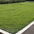 pavers grass / for drainage / drivable - GEOFLOR®