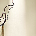 plain wallpaper - Trends Home: swing