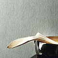 plain wallpaper / non-woven - OMNIA: LAYLA