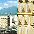 precast concrete facade panel - ACID ETCHED