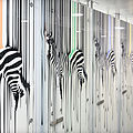 printed glass panel / pattern - INTERNAL