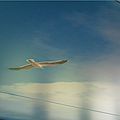 luminous stretched ceiling - LIGHTPOD