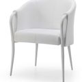 public buildings armchair - BEST