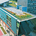 roof bituminous waterproofing membrane - EVALASTIC®
