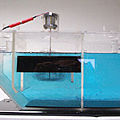 septic tank -