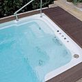 swim spa - R1/SS520NC
