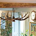 traditional chandelier - ANTLER F0556