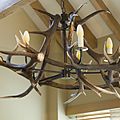 traditional chandelier - ANTLER F0553