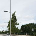 urban lamp post / contemporary / LED - MONARO II