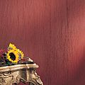 wall fabric - REMEMBER PARIS®