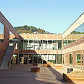 wood curtain wall - CARLOS SANTAMARÍA LIBRARY
