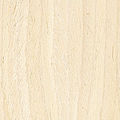 wood veneer - MAPLE