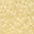 wood veneer / engeenered - BIRDS EYE MAPLE R