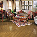 wood wood floor / oak / solid - SPICE