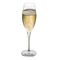 Glass Champagne Flute Terroir Nude Commercial