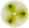 2D/3D computer-aided engineering software CAE EFFEL 2012 GRAITEC