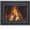 Wood Burning Fireplace Insert Instyle Dik Geurts