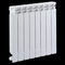 horizontal hot water radiator TOP RAGALL