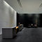 porcelain stoneware floor tile: plain color CONCORD ANN SACKS