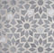 stone mosaic tile ARTISTE ANN SACKS