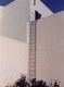 ladder with safety cage
