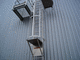 ladder with safety cage