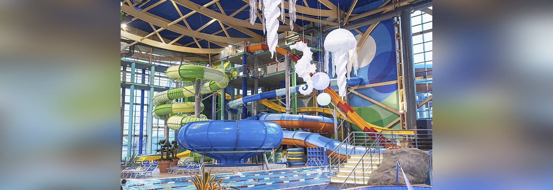 Rostov Dolphinarium: overview, features, contacts and reviews 93 Rostov Dolphinarium: overview, features, contacts and reviews 33