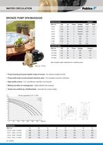 Bronze pump spa/massage