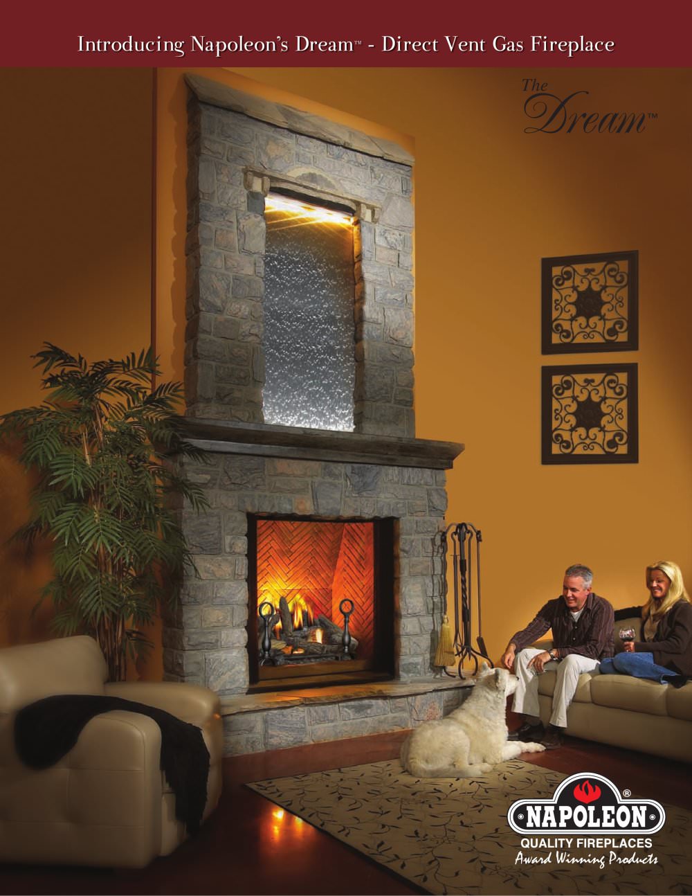 Napoleon Fireplaces - 100924, 110027