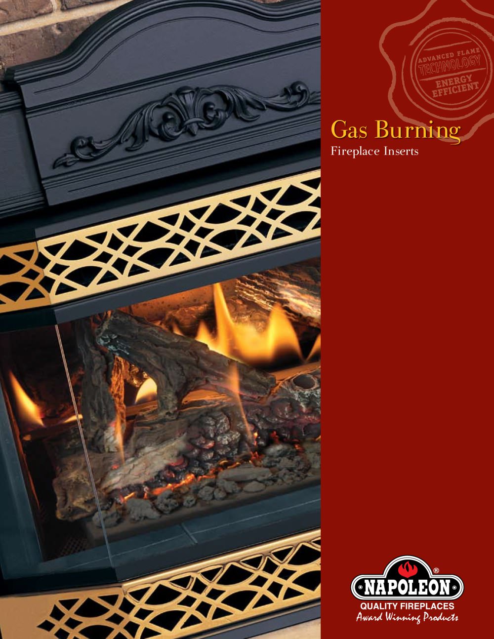 Napoleon Fireplaces - 6157